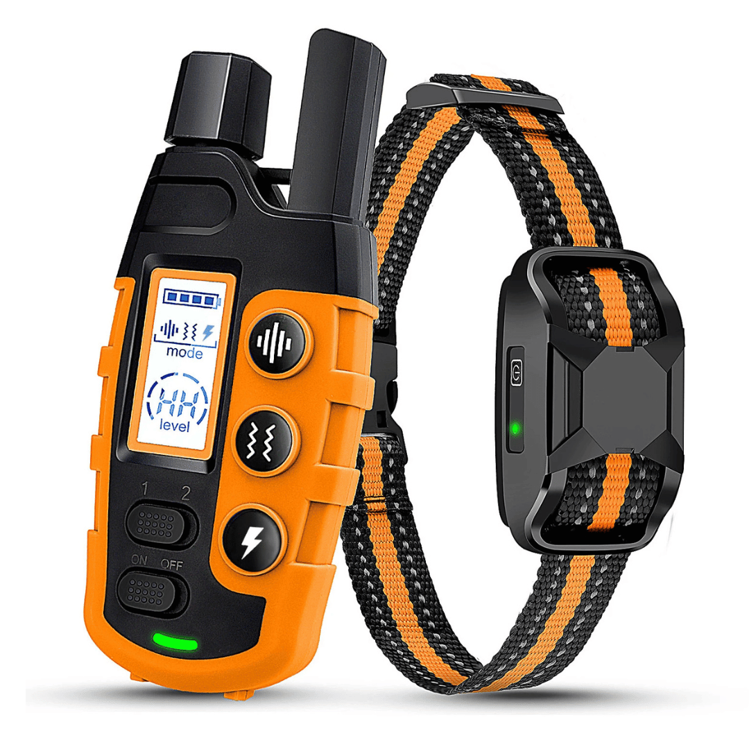 Collar de adiestramiento remoto – impermeable, recargable y alcance de 1000 m