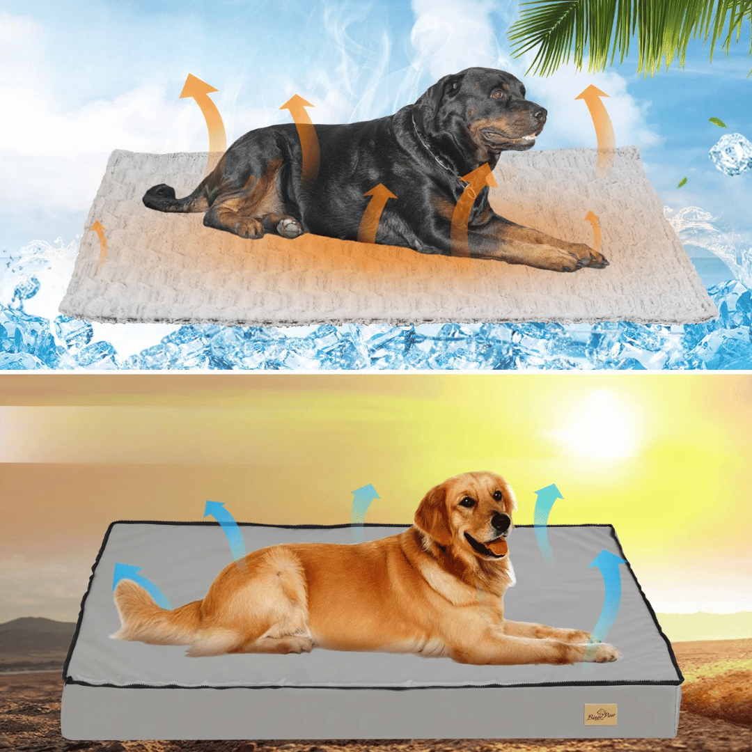 Cama Confortable Para Perro – Ideal Para El Descanso Y La Recuperación