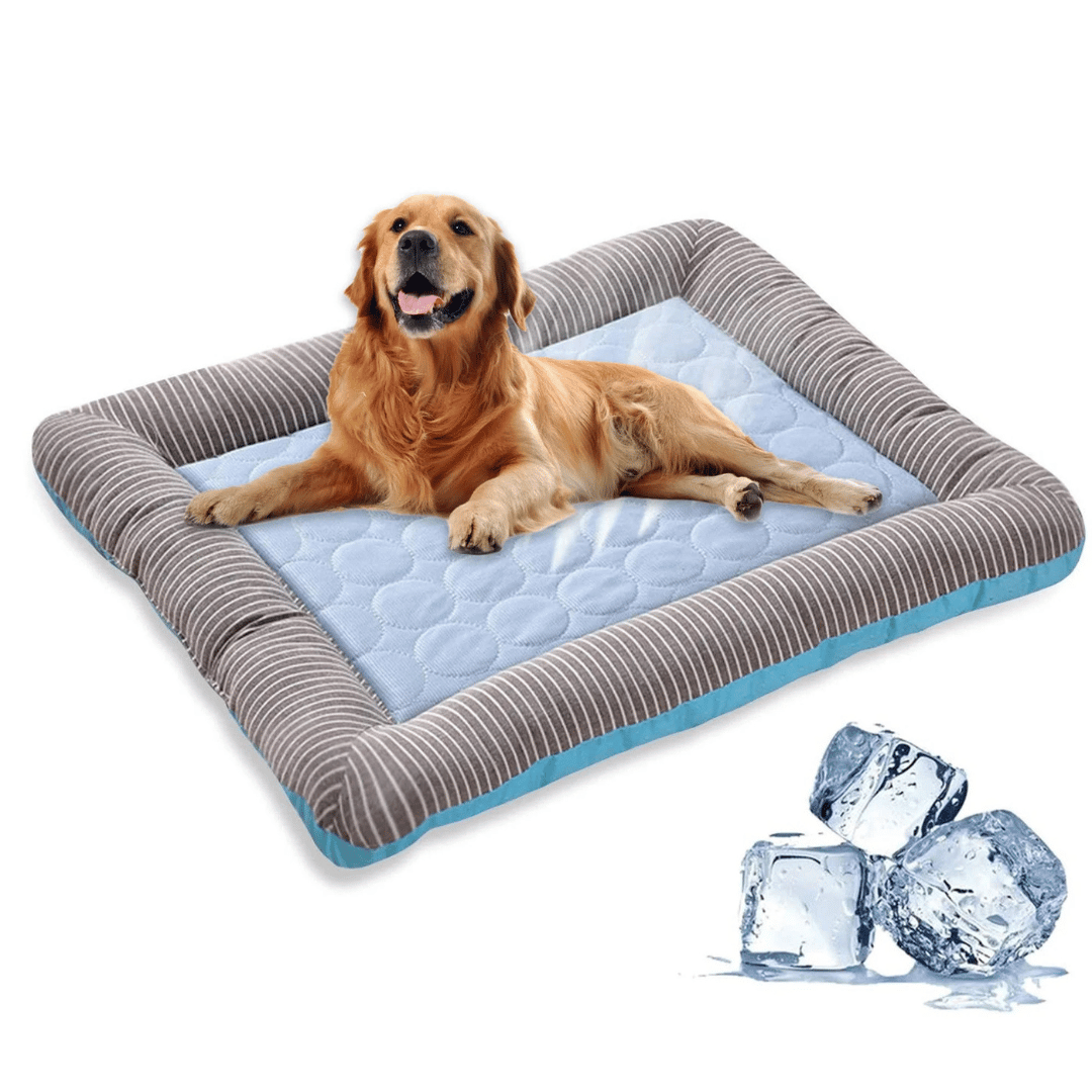 Kølemadras Til Hund – Friskhed Og Komfort Om Sommeren