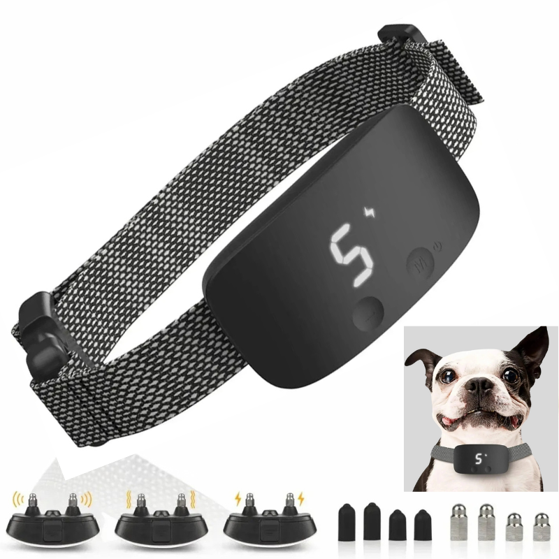 Colar Anti-Latido Para Cão – Recarregável E À Prova D'Água