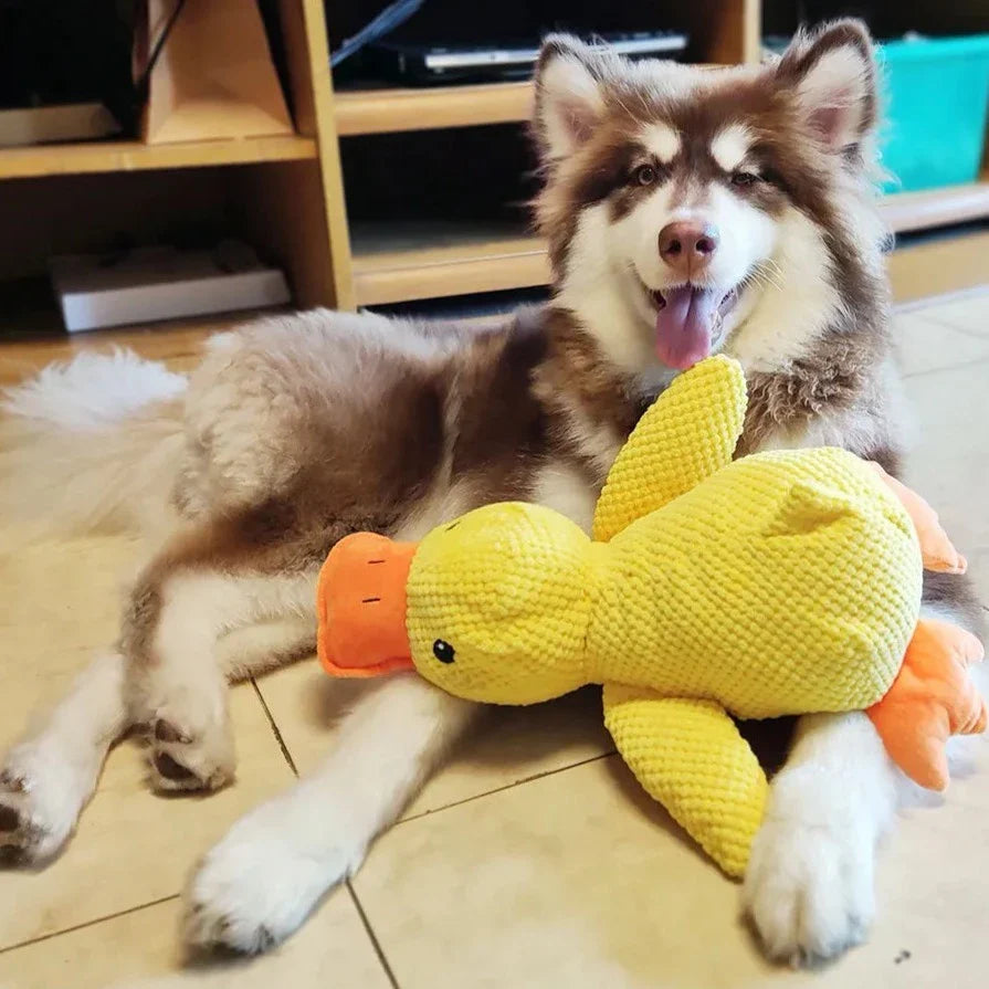 犬用おもちゃアヒル – 遊びとリラックスの相棒