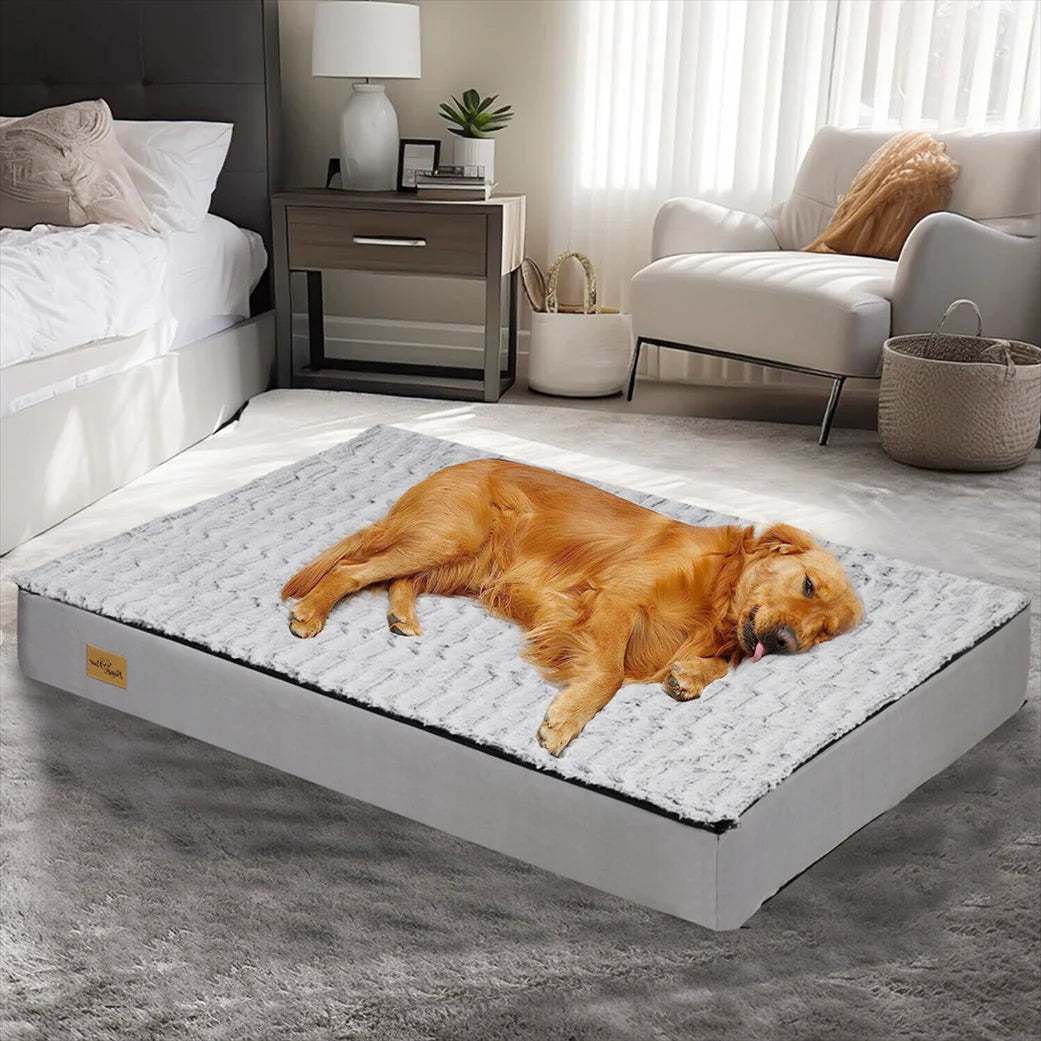 Cama Confortable Para Perro – Ideal Para El Descanso Y La Recuperación
