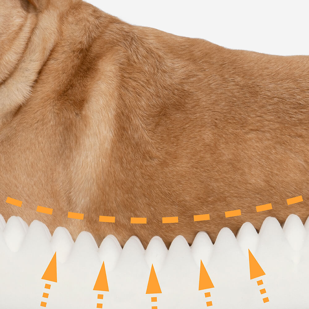 Cama En Forma De Dona Para Perro – Confort y Suavidad