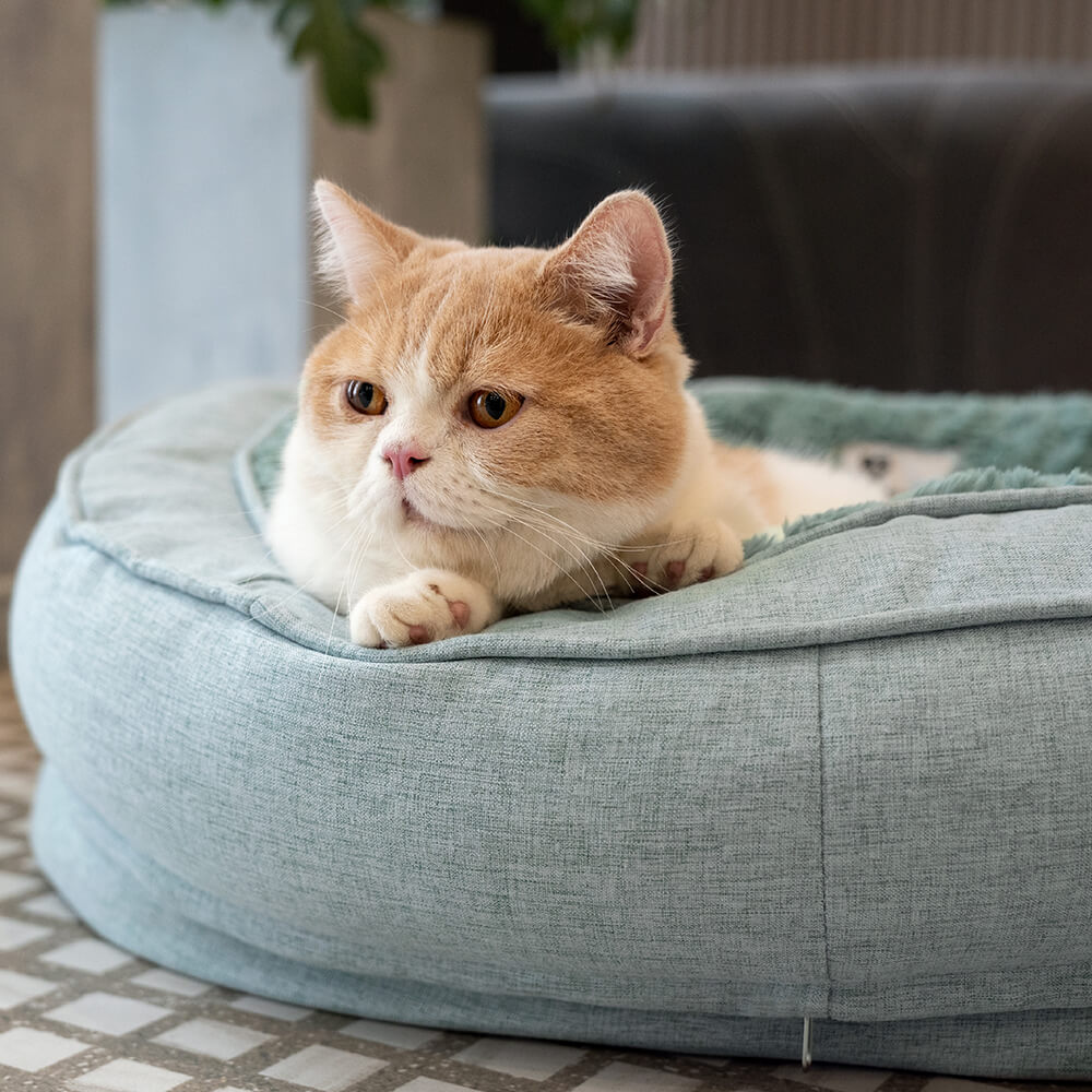 Cama En Forma De Dona Para Perro – Confort y Suavidad