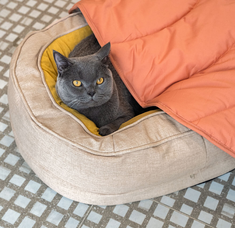 Cama En Forma De Dona Para Perro – Confort y Suavidad