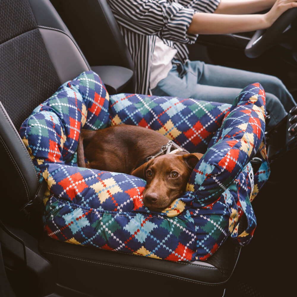 Silla de Auto para Perro – Confort y Seguridad en Viaje