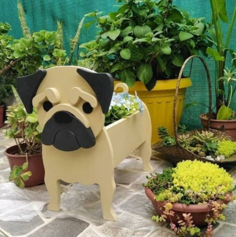Pot De Fleurs Original — Forme De Chien