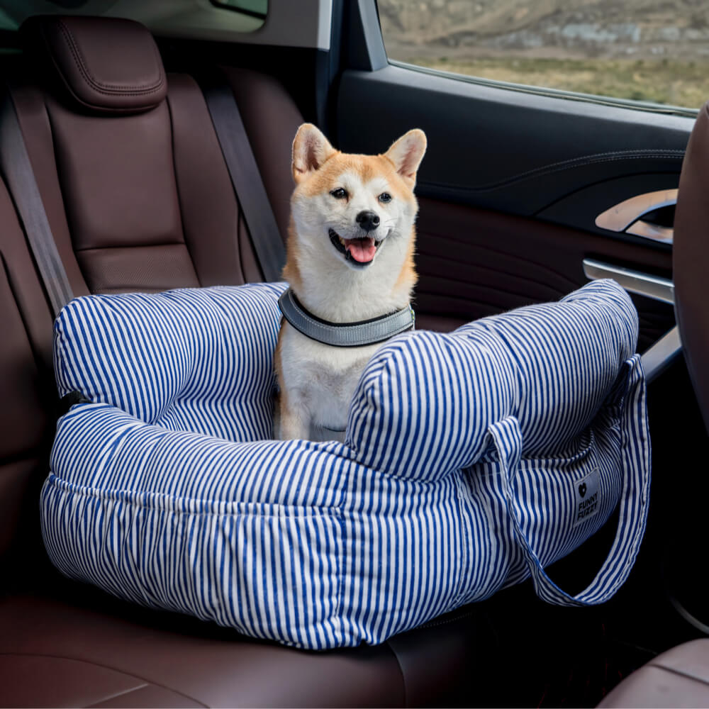 Silla de Auto para Perro – Confort y Seguridad en Viaje