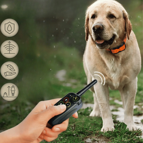 Remote Training Collar – Optimal Precision and Range