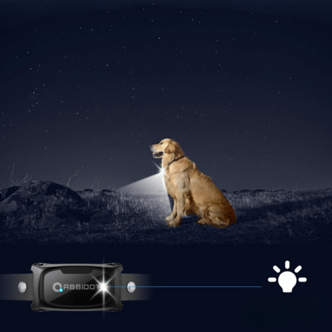 Halsband für Hundetraining – LED-Fernbedienung und Reichweite 1000 m