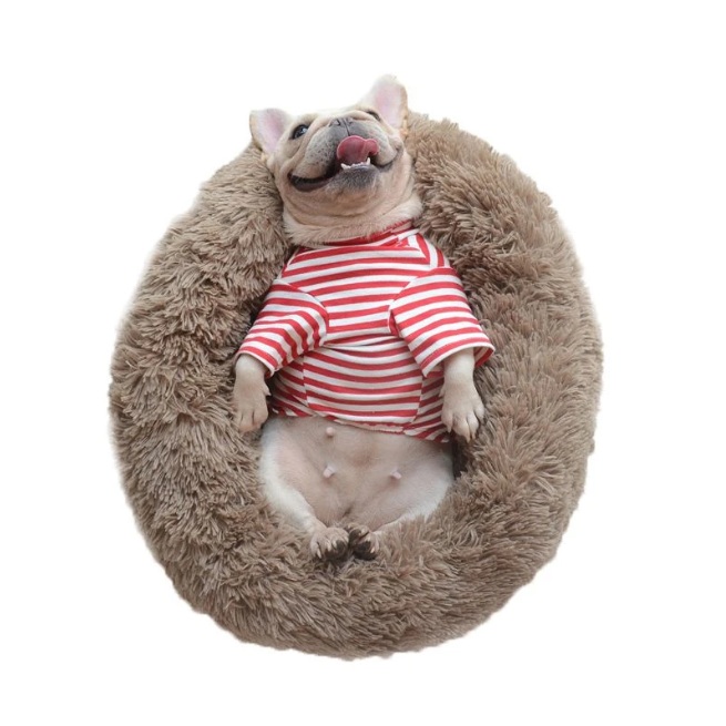 Dierlijk Knus Bed — Optimaal Comfort En Rustgevende Rust