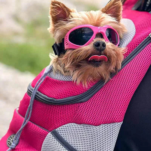 Tierschutz-Rucksack – Transparente Fenster und großer Innenraum