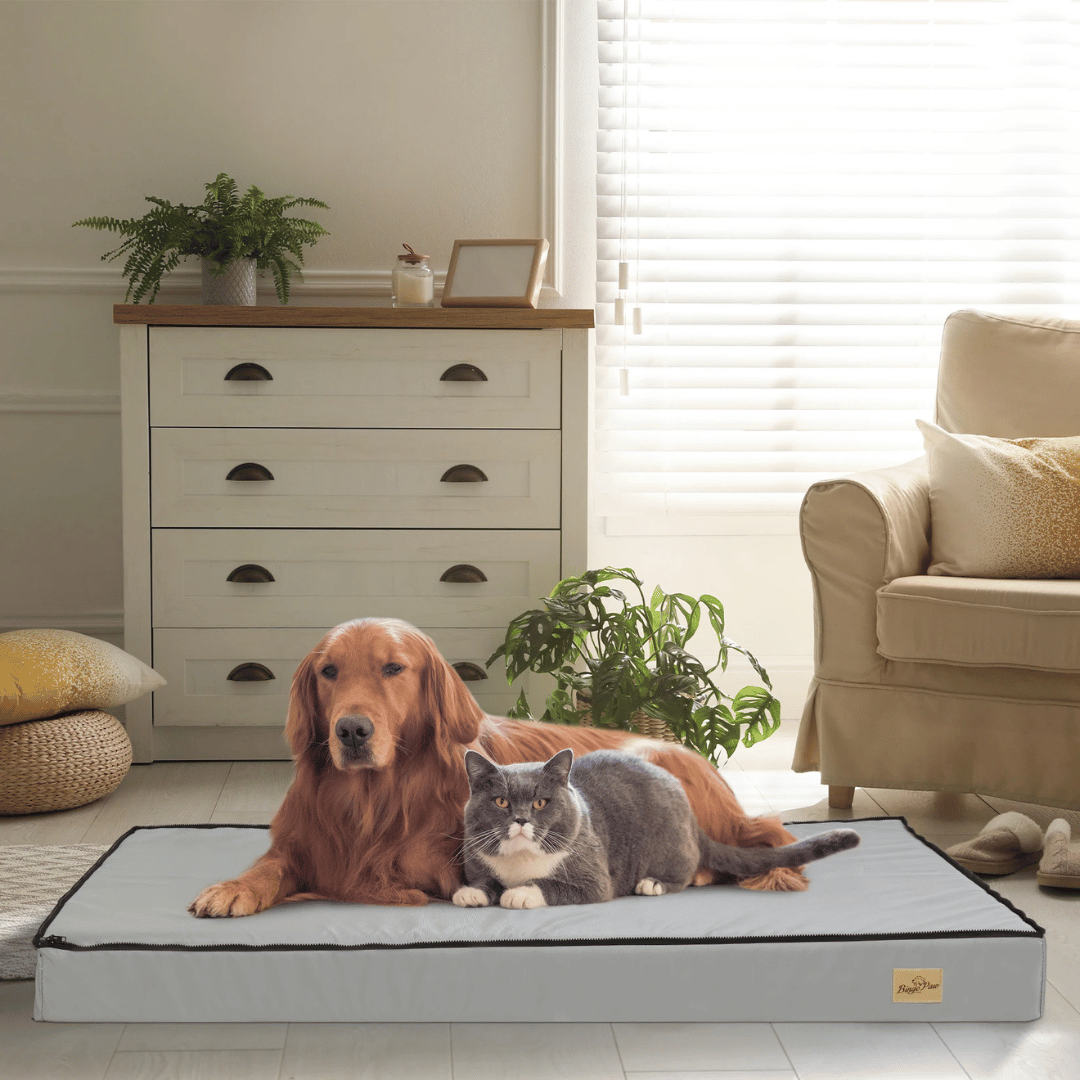 Cama Confortable Para Perro – Ideal Para El Descanso Y La Recuperación