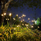 מנורות LED לוציולות – אנרגיה סולארית – אווירה קסומה לגינה שלכם 