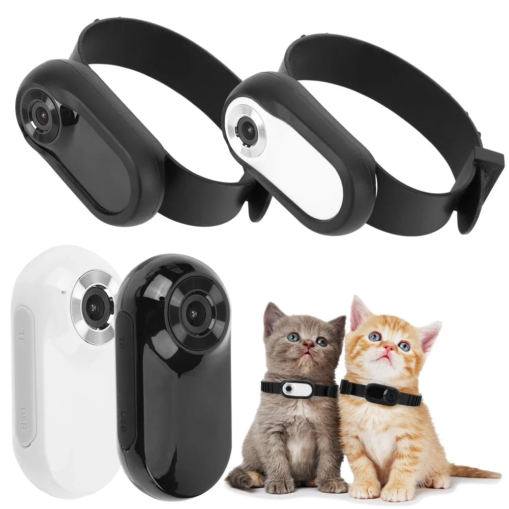 Minikamerahalsbånd for hunder og katter - Immersive Vision & HD