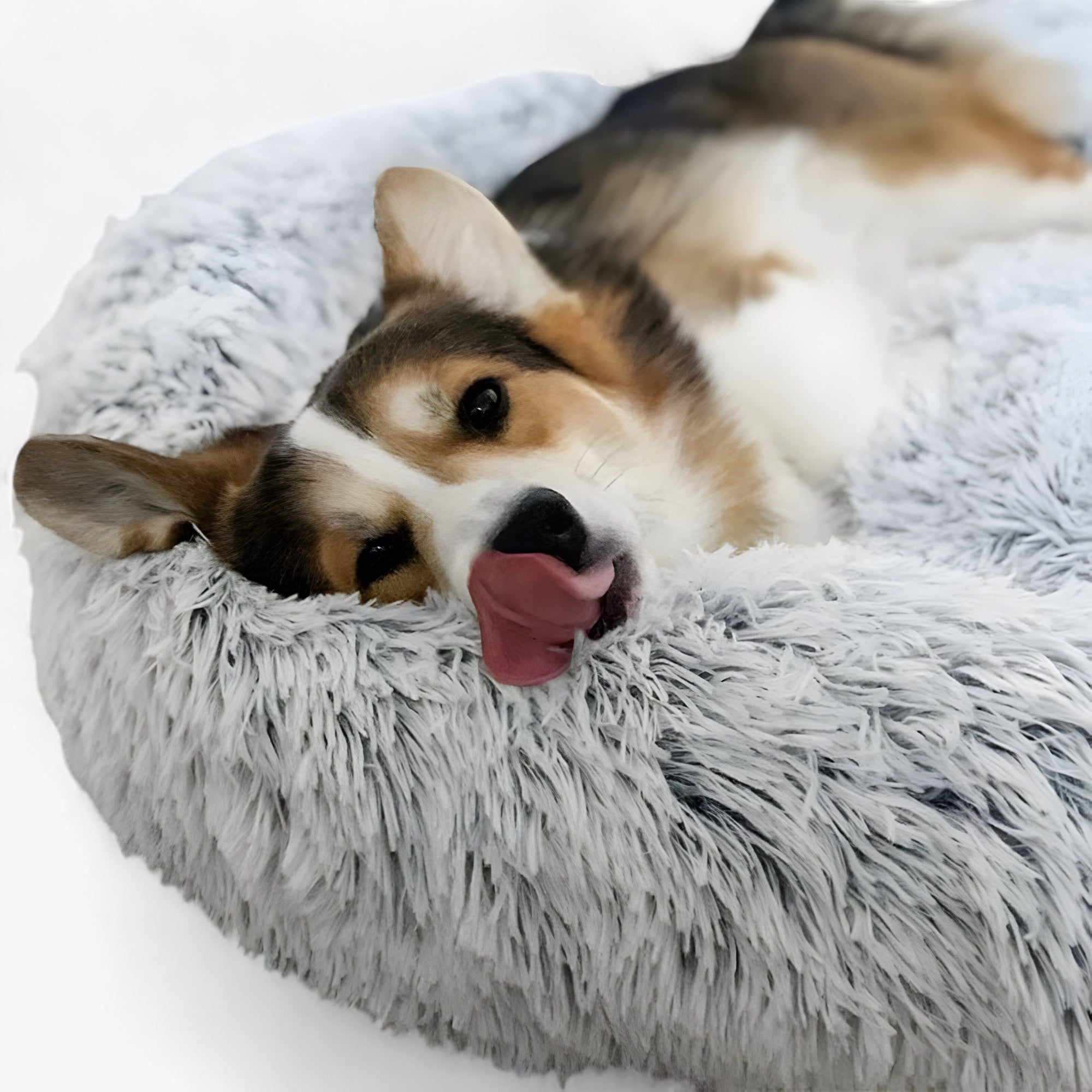 動物のための心地よいベッド – 快適で修復的な睡眠 