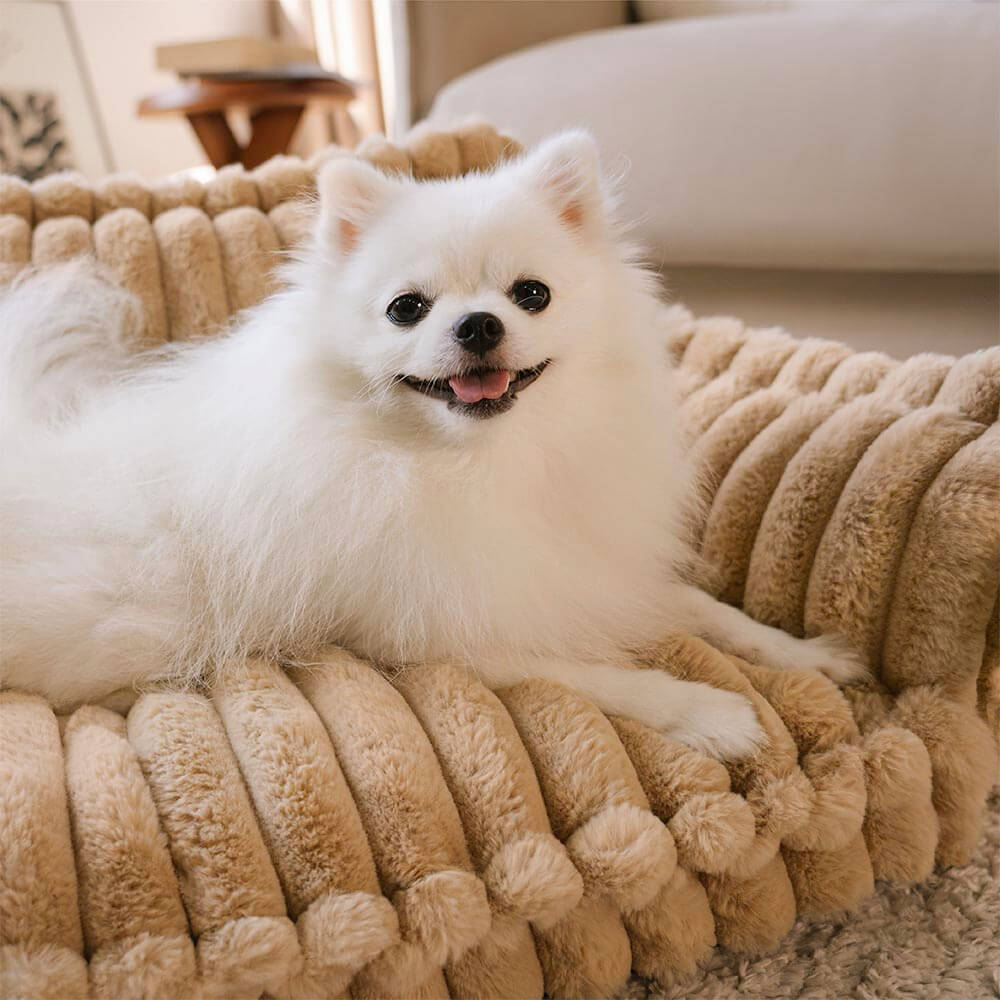 Large Soft and Washable Dog Cushion – Comfort and Hygiene 