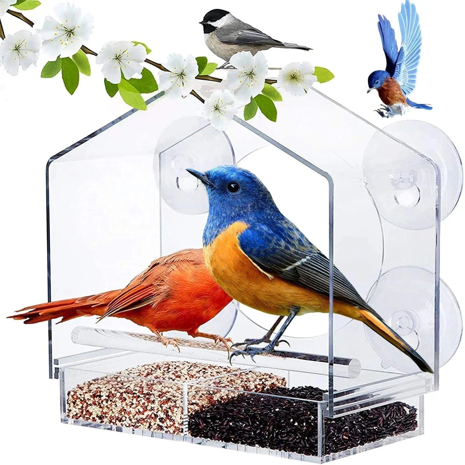 Comedero Transparente - Alimenta y Observa a los Pájaros Desde Tu Ventana 