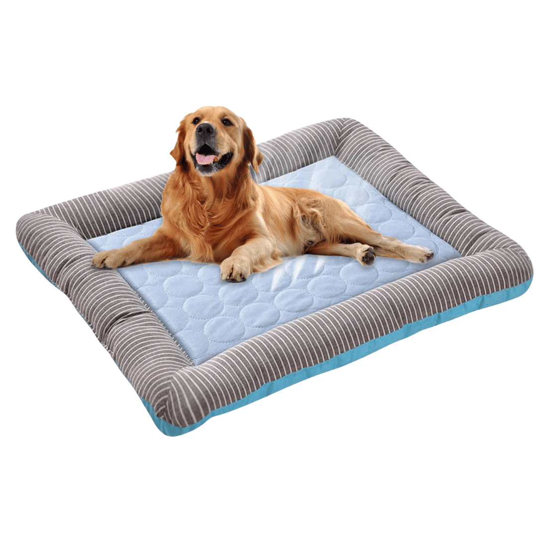 Cojín Refrescante Para Perro – Frescura Y Confort En Verano 