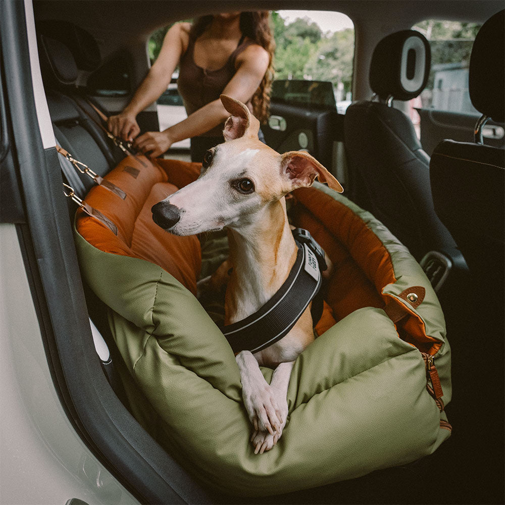 Scaun Auto Pentru Câini – Confort și Protecție 