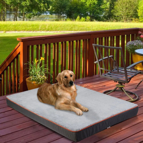 Cama Para Grandes Perros – Confort y Espacio Adaptado 