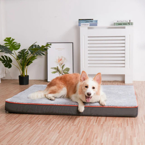 Cama Para Grandes Perros – Confort y Espacio Adaptado 