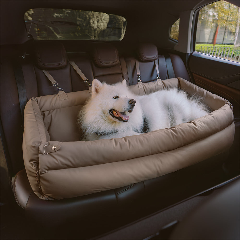 Scaun Auto Pentru Câini – Confort și Protecție 