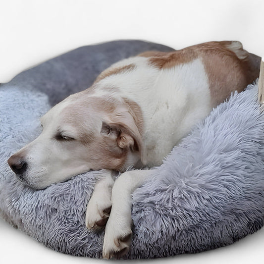 Rustgevende Bed Voor Dieren – Gezellige Comfort En Herstellende Slaap 