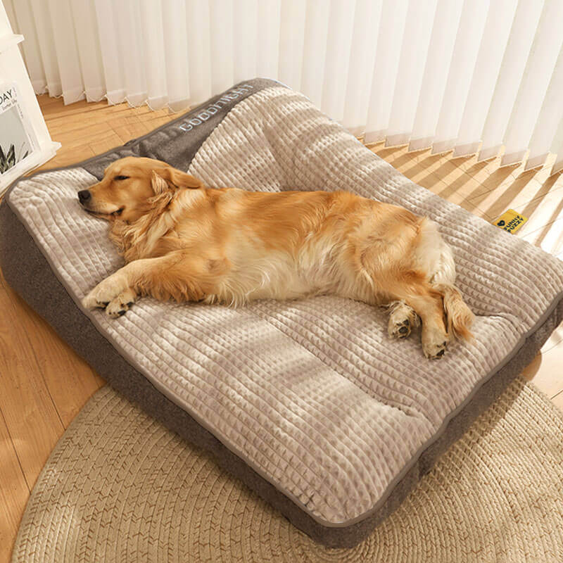 Scratch-Resistant Dog Cushion with Back Protection – Comfort and Durability 