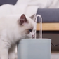 Fontaine À Eau Pour Animaux – Circulation Continue Et Filtration Efficace