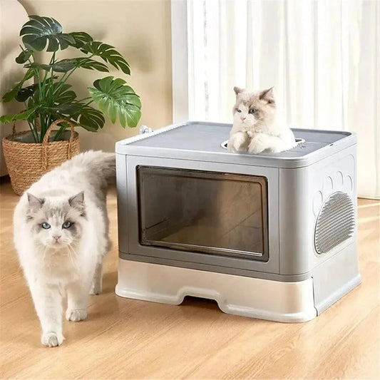 Arena para Gatos – Confort y Higiene Óptimos 