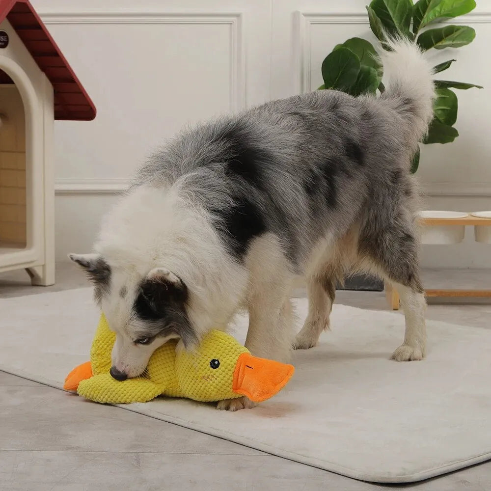 Beruhigendes Enten-Spielzeug für Hunde – Spiel- und Entspannungspartner 