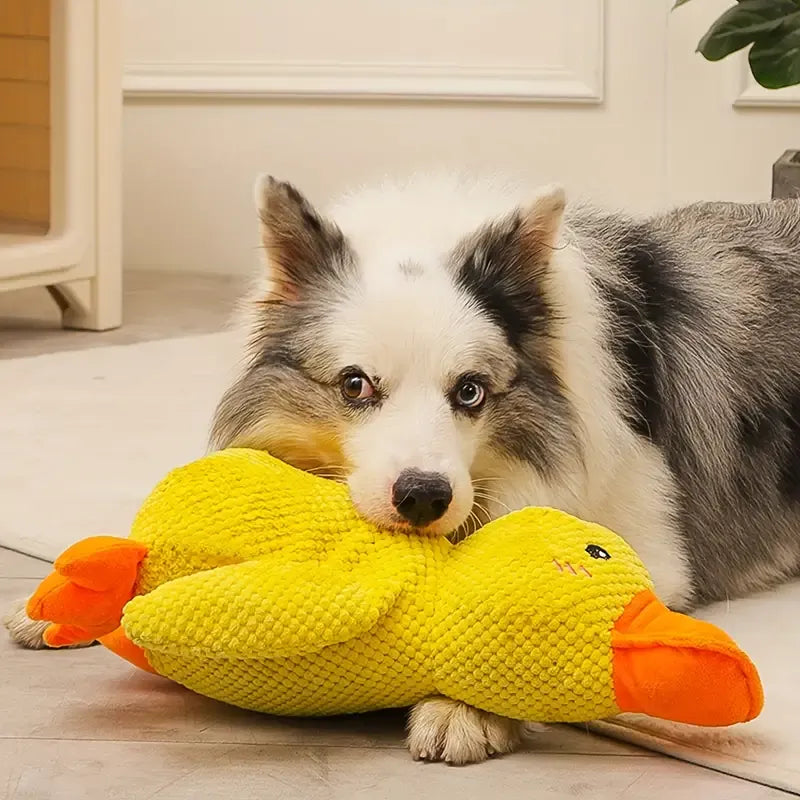 Beruhigendes Enten-Spielzeug für Hunde – Spiel- und Entspannungspartner 